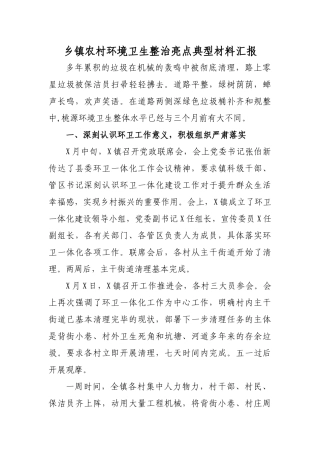 乡镇农村环境卫生整治亮点典型材料汇报.docx