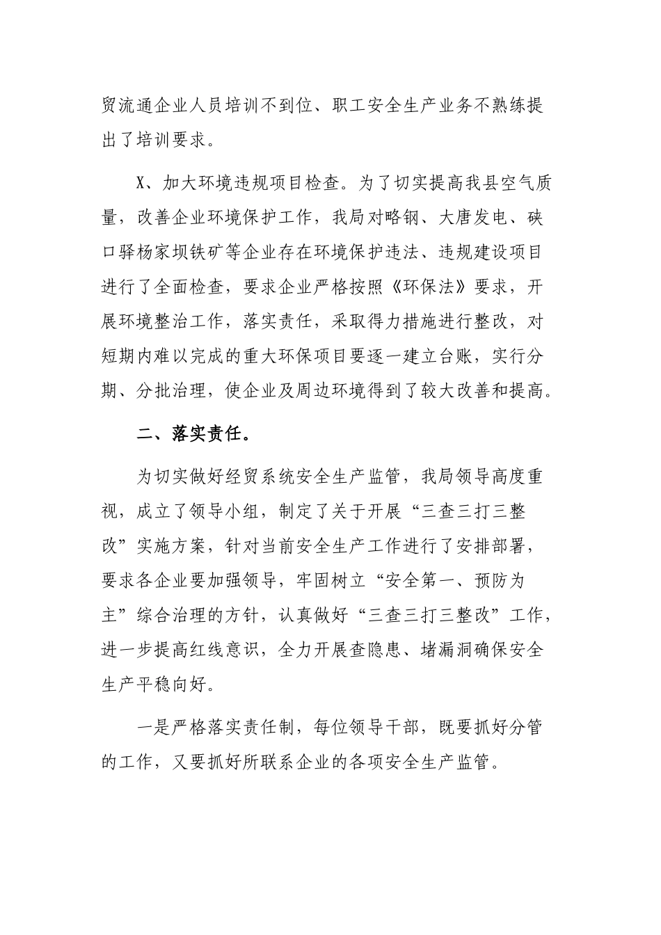 经贸局三打三查三整改专项行动最新工作总结.docx_第2页