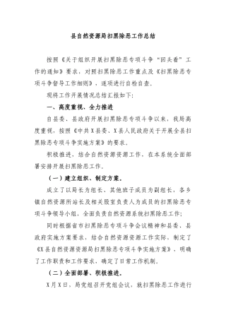 县自然资源局扫黑除恶工作总结.docx