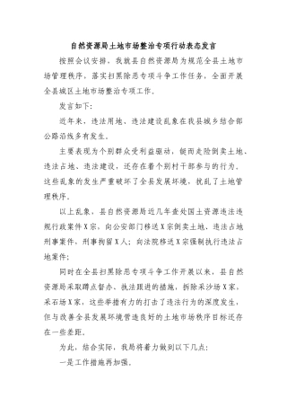 自然资源局土地市场整治专项行动表态发言.docx