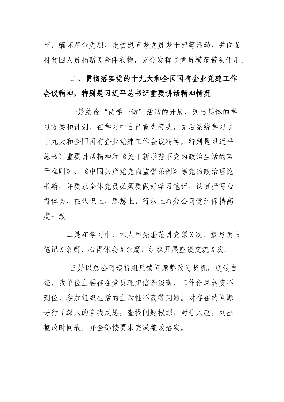 公司2019年党支部书记述职报告.docx_第2页
