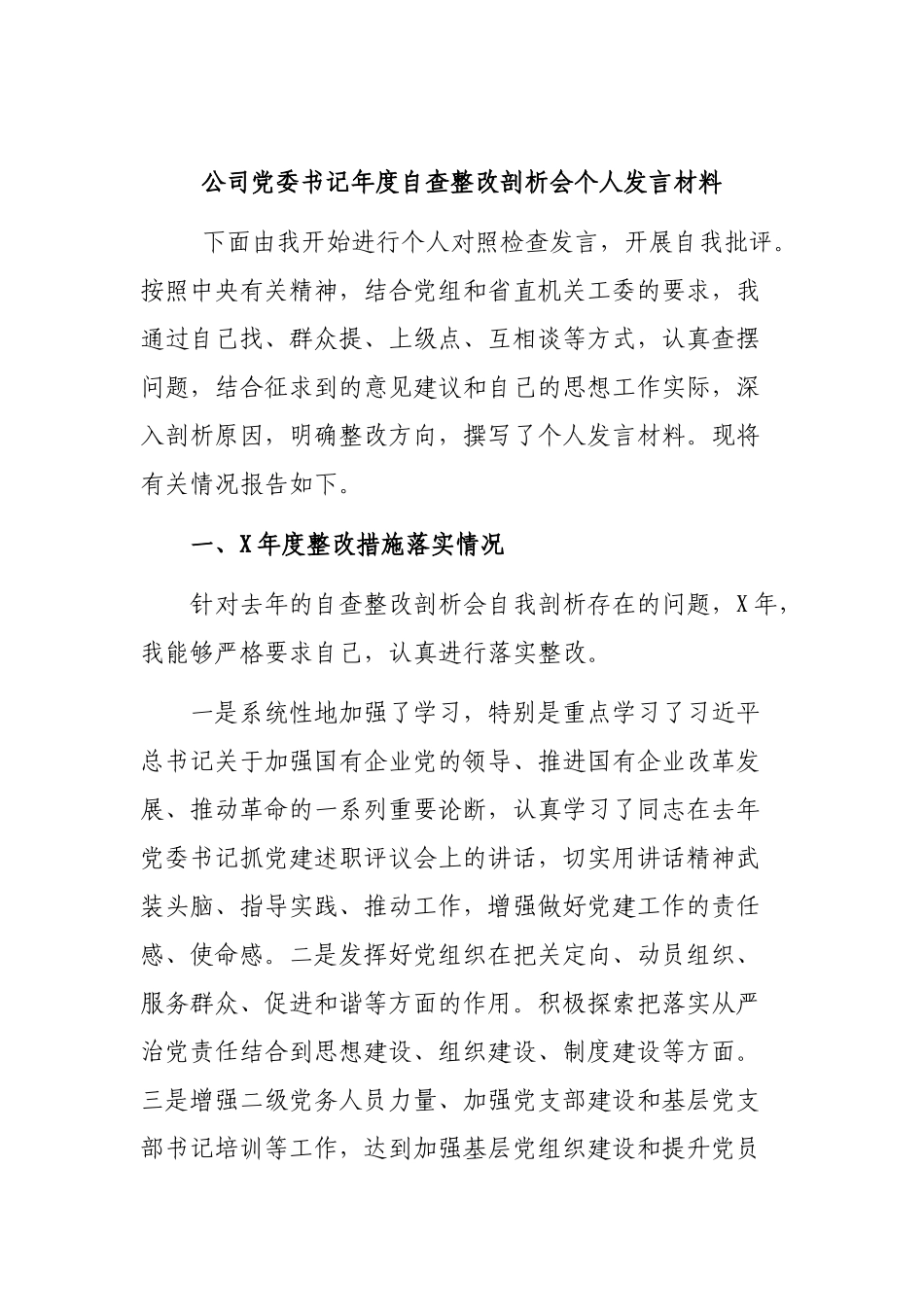 公司党委书记年度自查整改剖析会个人发言材料.docx_第1页