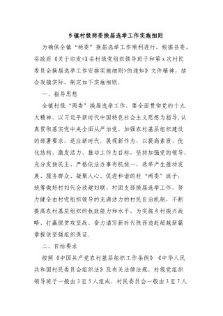 乡镇村级两委换届选举工作实施细则.docx