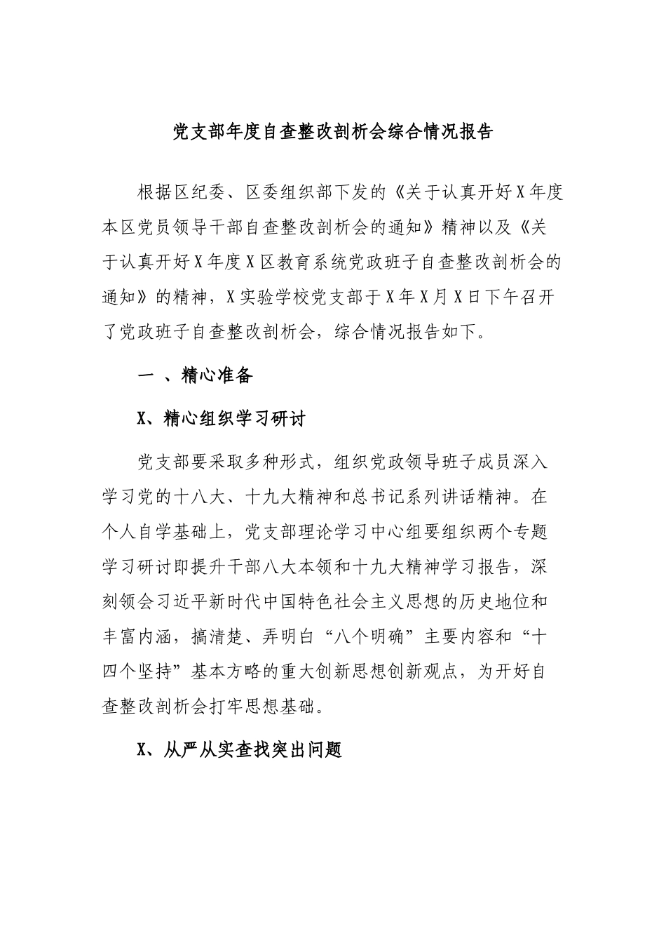 党支部年度自查整改剖析会综合情况报告.docx_第1页