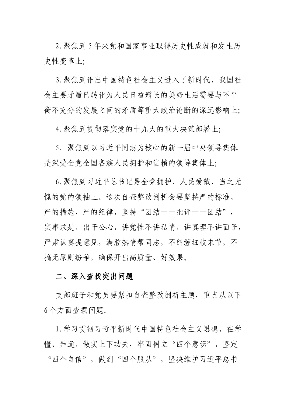 党支部年度自查整改剖析会工作方案.docx_第2页