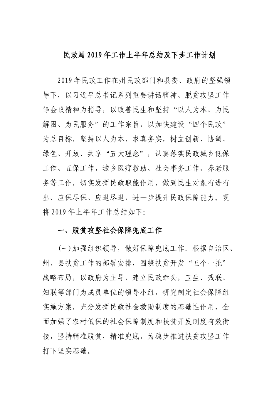民政局2019年工作上半年总结及下步工作计划.docx_第1页
