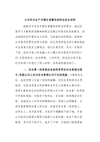 公司安全生产专题自查整改剖析会发言材料.docx
