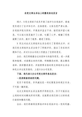 在党支部生活会上的整改表态发言.docx