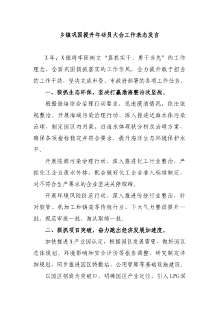 乡镇巩固提升年动员大会工作表态发言.docx