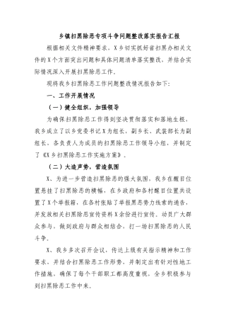 乡镇扫黑除恶专项斗争问题整改落实报告汇报.docx