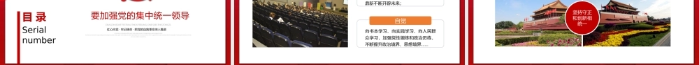贯彻落实把党的自我革命推向深入PPT模板.pptx