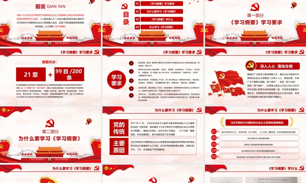 学习新时代中国特色社会主义思想学习纲要党政党课党建ppt模板.pptx