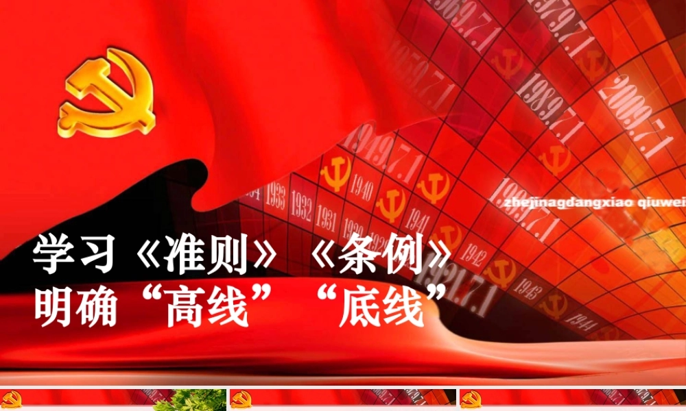 准则条例学习辅导.ppt