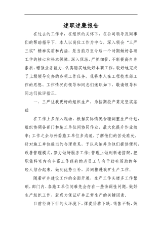 述廉报告.doc