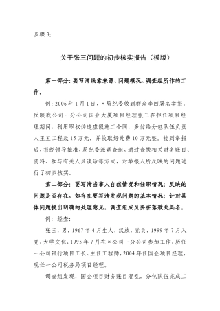 步骤3 初步核实报告.doc
