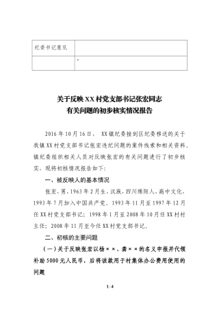 5初步核实情况报告.doc