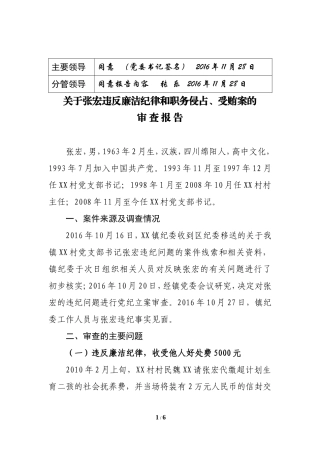 17审查报告.doc