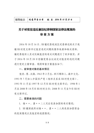 11审查方案.doc