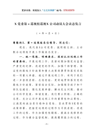 巡视动员大会表态发言.doc