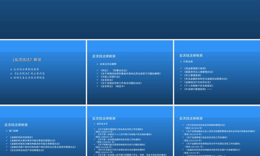 5.反洗钱法解读.ppt