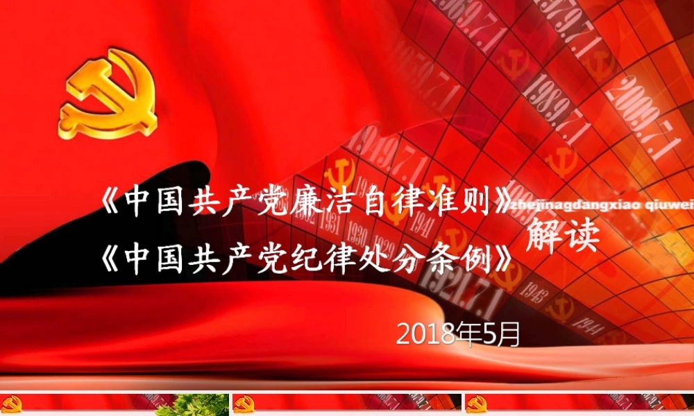 《准则》《条例》解读.ppt