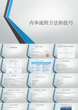 内审流程方法和技巧.ppt