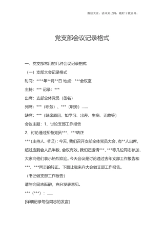 党支部会议记录格式.doc