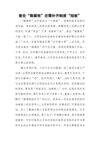 查处“微腐败”还需补齐制度“短板”.doc