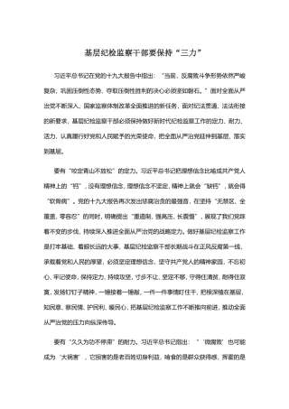 5.24-基层纪检监察干部要保持“三力”.doc
