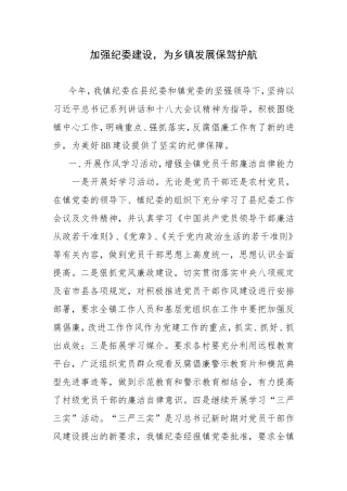 乡镇纪委建设经验.doc