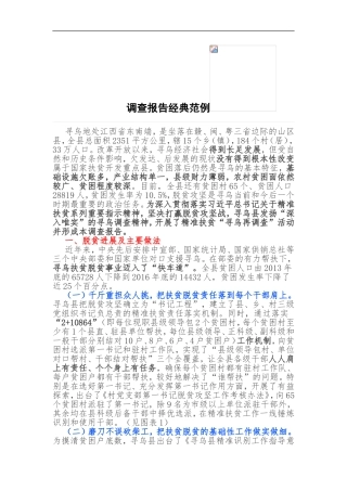 调查报告经典范例.doc