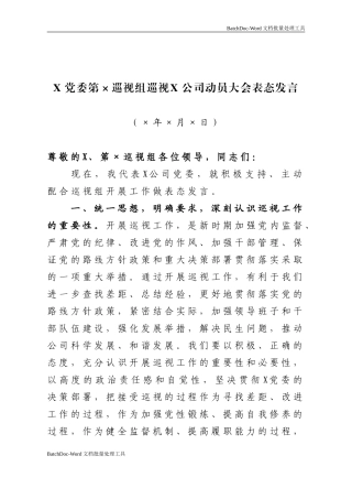 巡视动员大会表态发言.doc
