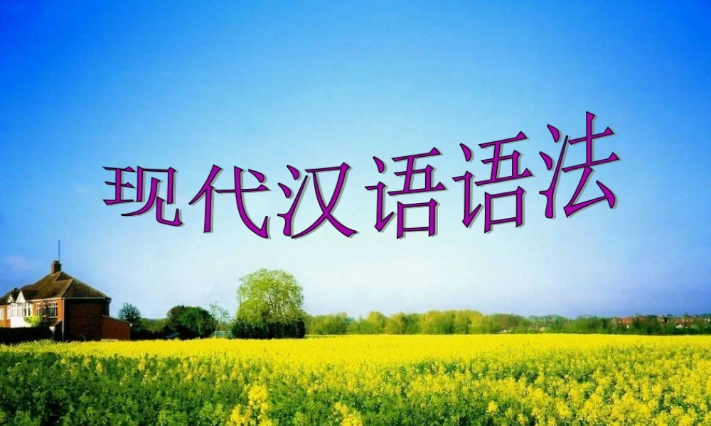 现代汉语语法用