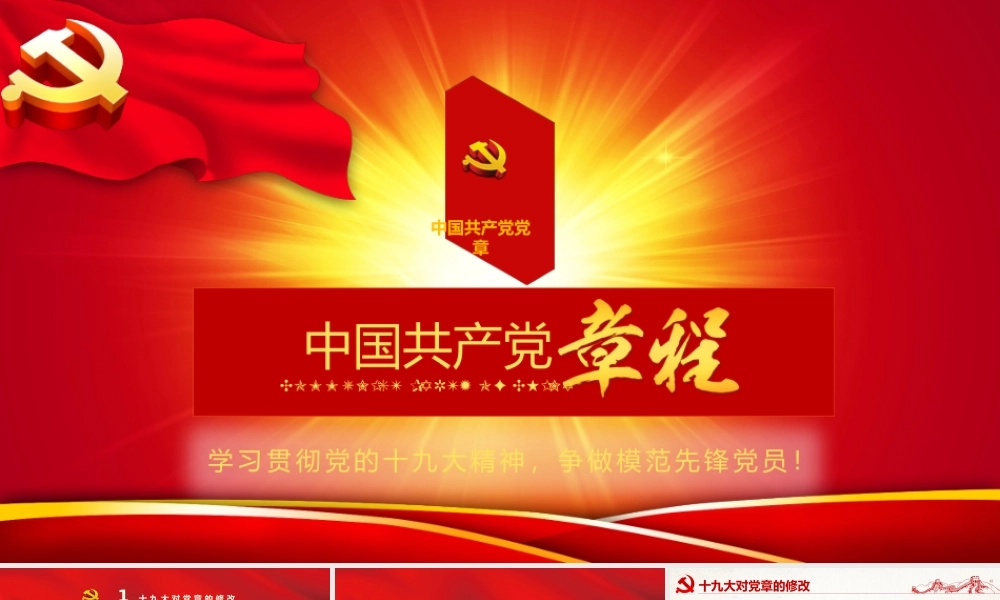 新党章解读