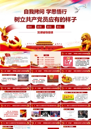 树立共产党员应有的样子