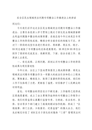 在全XX民生领域突出问题专项整治工作推进会上的讲话.docx
