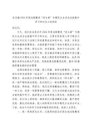 在全镇2026年度巡察整改“回头看”专题民主生活会会前集中学习研讨会上的讲话.docx
