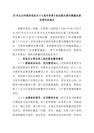XXXX生态环境部门党组关于X届第X轮巡察反馈问题整改落实情况的报告.docx