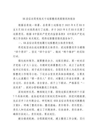 XXXX信访部门党组关于巡察整改进展情况的报告.docx