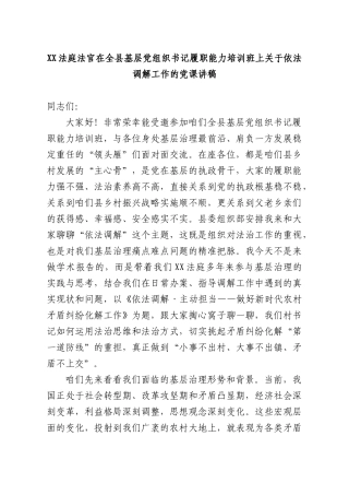 XX法庭法官在全XX基层党组织书记履职能力培训班上关于依法调解工作的党课讲稿.docx