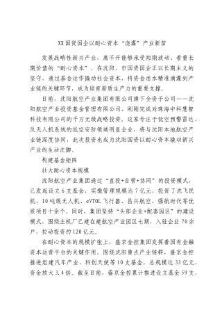 XX国资国企以耐心资本“浇灌”产业新苗.docx