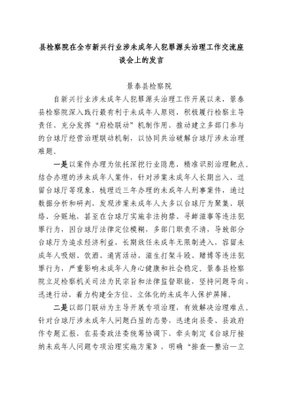 XX检察院在全XX新兴行业涉未成年人犯罪源头治理工作交流座谈会上的发言.docx