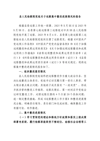 XX人民检察院党组关于巡察集中整改进展情况的报告.docx