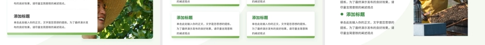 绿色简约清新新农业商业计划书 .pptx