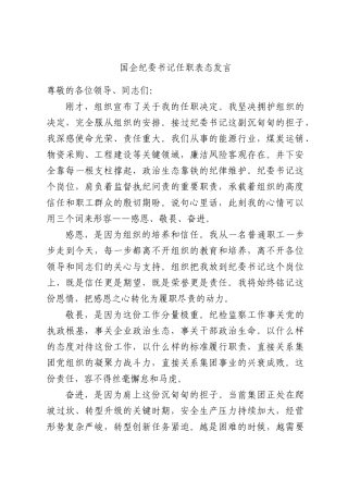国企纪委书记任职表态发言.docx