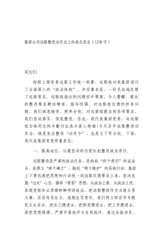 国企巡察整改动员会上的表态发言（1238字）.docx