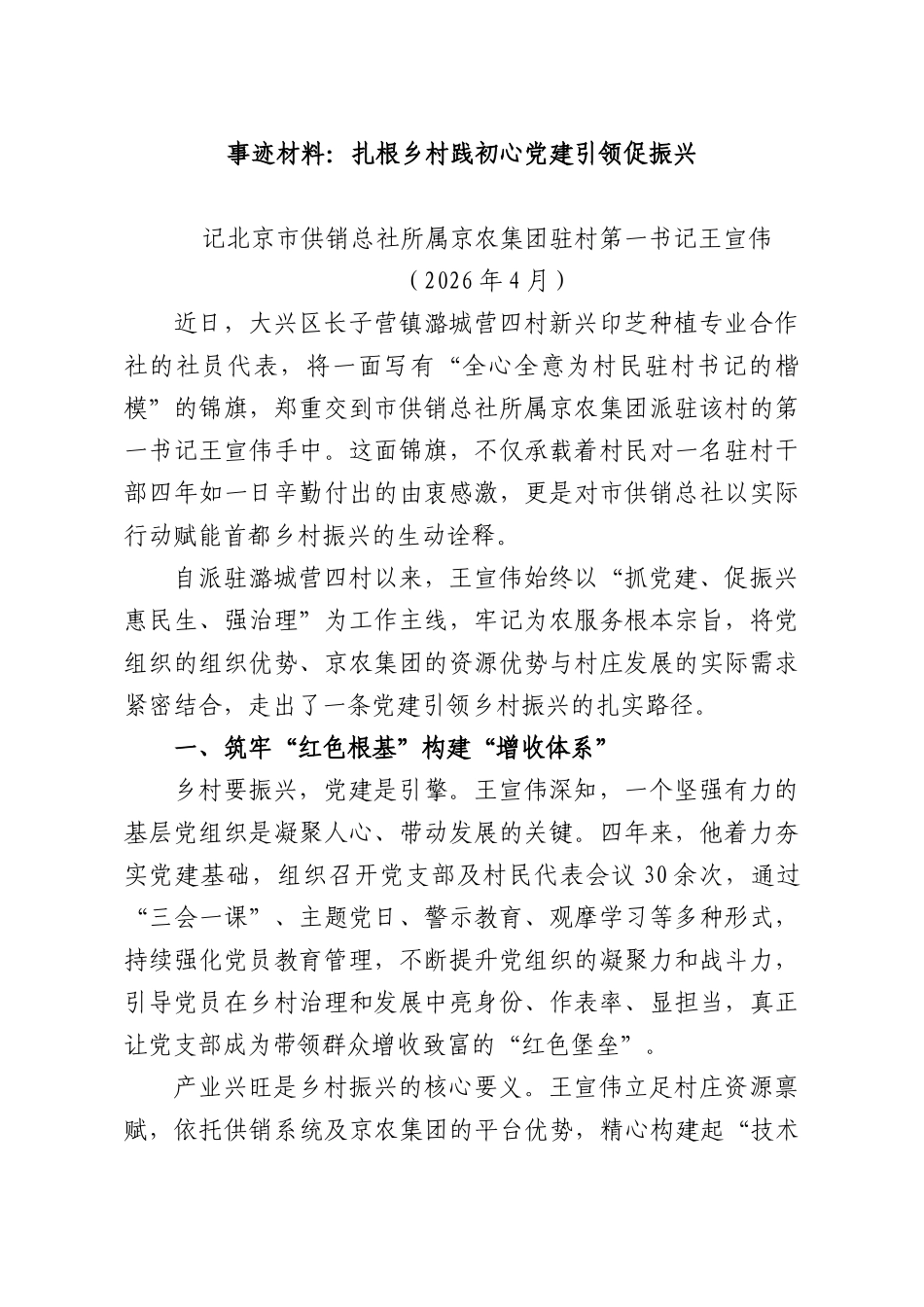 事迹材料：扎根乡村践初心党建引领促振兴.docx_第1页