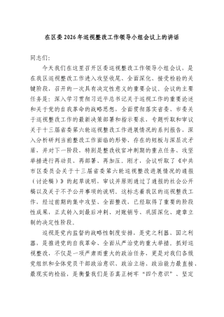 在2026年巡视整改工作领导小组会议上的讲话.docx