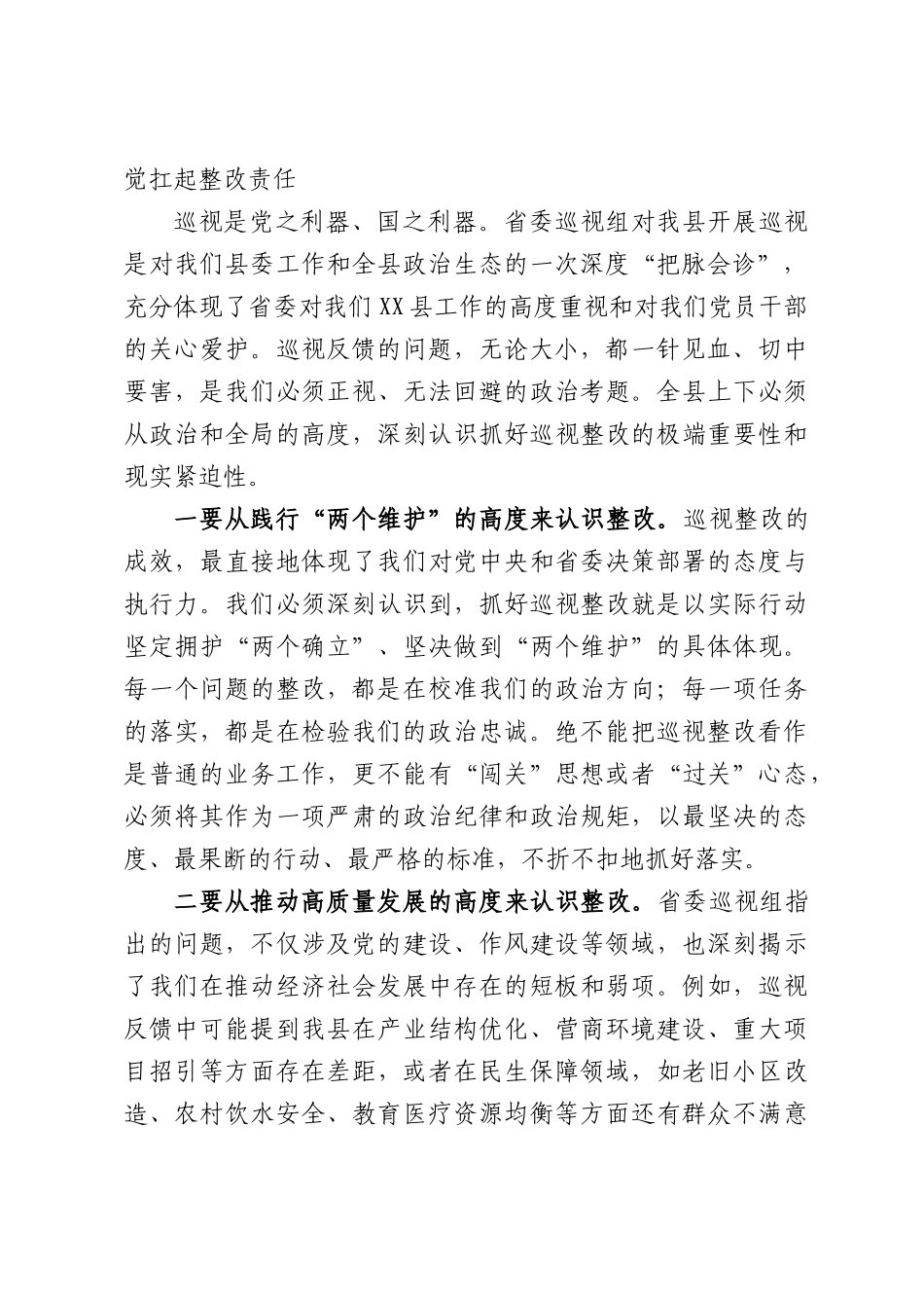 在全XX巡视整改工作专题会议上的讲话.docx_第2页