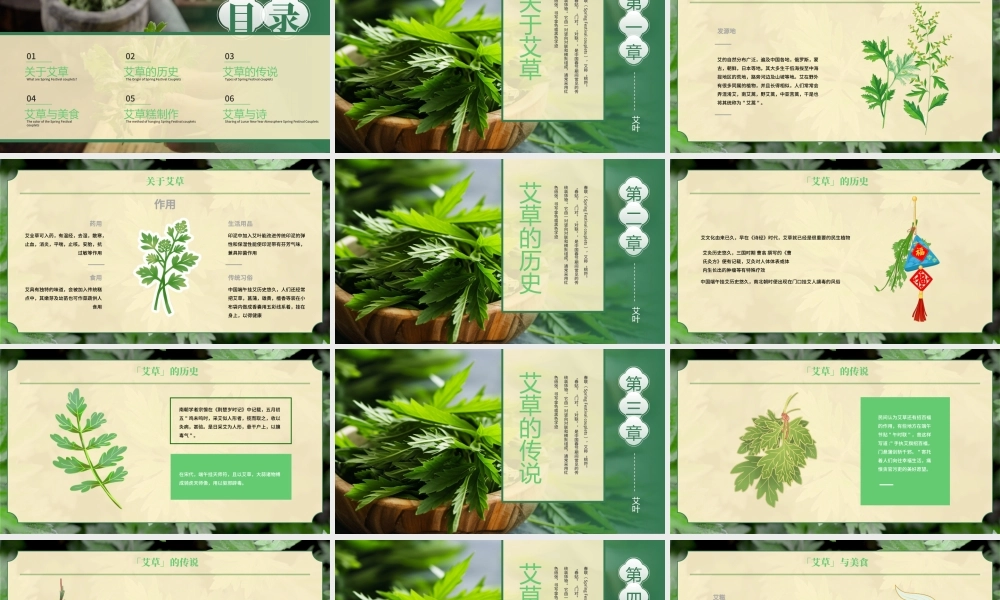 绿色中国风艾草的知识介绍 .pptx